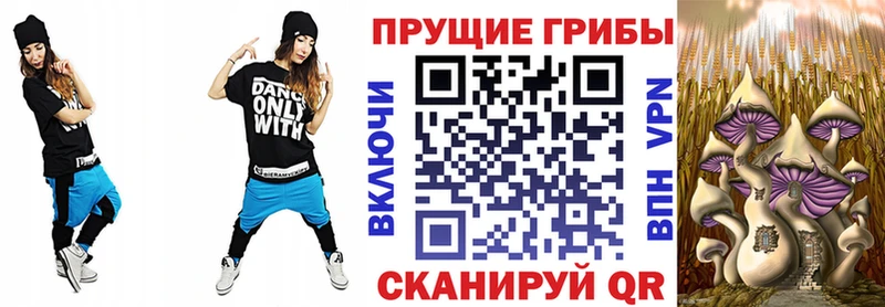 закладки  Белёв  Псилоцибиновые грибы мицелий 