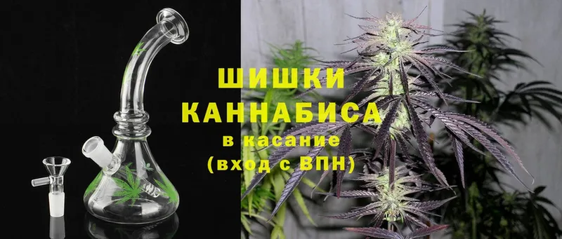 blacksprut ссылки  Белёв  Шишки марихуана Amnesia 